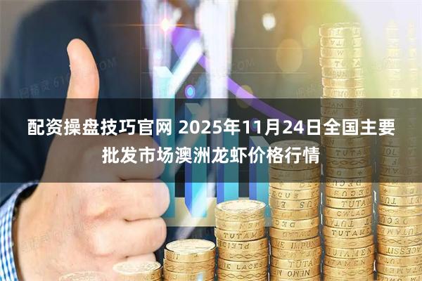 配资操盘技巧官网 2025年11月24日全国主要批发市场澳洲龙虾价格行情