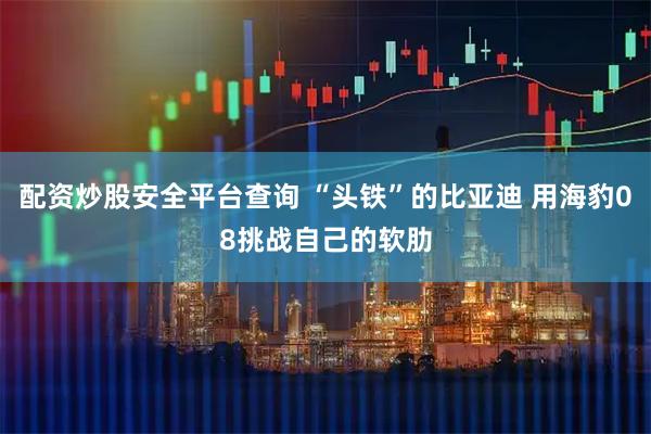 配资炒股安全平台查询 “头铁”的比亚迪 用海豹08挑战自己的软肋